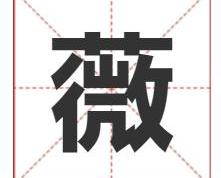 薇字取名寓意及五行属性，柔美优雅的带薇字女孩名字