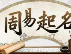 开封最权威起名大师是谁,开封起名字大师哪个好