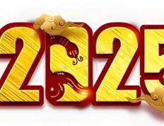 2025年出生辛姓新生儿名字起名字大全，属蛇最惊艳新生儿男孩女孩名字