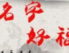 天津取名字厉害的大师有哪些，天津有没有起名比较好的