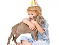 2025年12月7日男孩取名大全，闫姓的男宝宝名字简单洋气