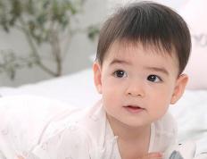 2025年最新版楚辞起名字男孩名字大全,有典故出处的男宝宝名字