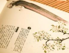 呼和浩特起名专家都有哪些,呼和浩特起名专家哪个好