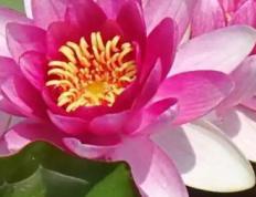 廊坊新生儿取名师傅,廊坊给孩子起名字的地方