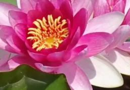 廊坊新生儿取名师傅,廊坊给孩子起名字的地方