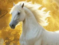 廊坊取名字厉害的大师有哪些,廊坊有没有起名比较好的