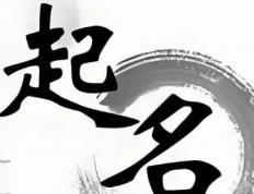 保定起名大师有哪些,保定周易八字起名最好的是哪家
