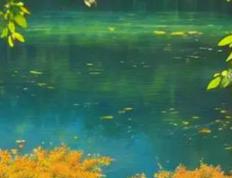 曦字五行属性和寓意是什么，朝气蓬勃的曦字宝宝名字大全