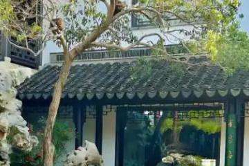 峻字五行属性及寓意是什么，如意安康的带峻字的宝宝名字推荐