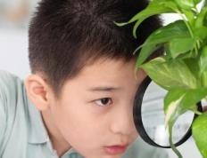 天字五行属性及寓意，功德广博的搭配天字的男孩名字