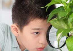 天字五行属性及寓意，功德广博的搭配天字的男孩名字