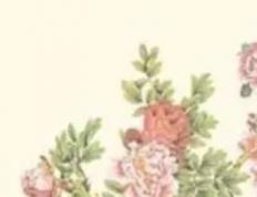 陕西西安宝宝取名,西安新生儿起名公司哪家好