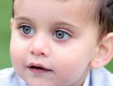 2025向姓男孩八字五行缺木取名，贤明睿智的姓向属木男宝宝名字推荐