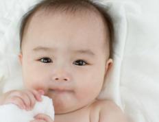 之字五行属性及寓意，心旷神怡的带之字小孩名字推荐