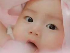 琦字五行属性及寓意,幸福安康的带琦字女孩名字大全