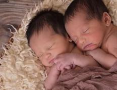 查姓女孩八字五行缺木取什么名字好,奶香浓郁的姓查女宝宝名字大全