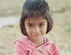 2025年柳姓宝宝取什么名字好,婉婉悦耳的姓柳小孩名字大全