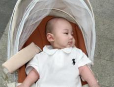 楠字五行属性及取名寓意，涵养丰富的楠字宝宝名字大全