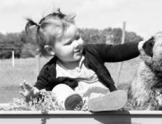 天津新生儿起名字，天津有没有起名比较好的大师