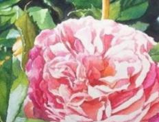 2025年12月15日是动土黄道吉日吗，今日动土好不好