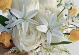 2025年12月28日是领证登记的黄道吉日吗，今日登记领证好不好