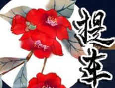 2026年03月04日提车吉日查询 今日买新车好吗