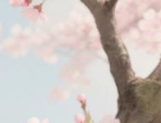 长春新生儿起名攻略？生辰八字+吉祥寓意，助你取个好名字！