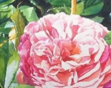 屏幕截图 2025-12-11 100248.jpg 2025年12月15日是动土黄道吉日吗,今日动土好不好