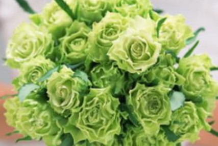 2025年12月24日农历冬月初五是领证黄道吉日吗，今日登记领证好不好